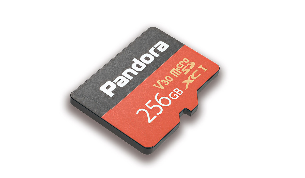 Видеорегистратор Pandora карта памяти microSD 256 ГБ